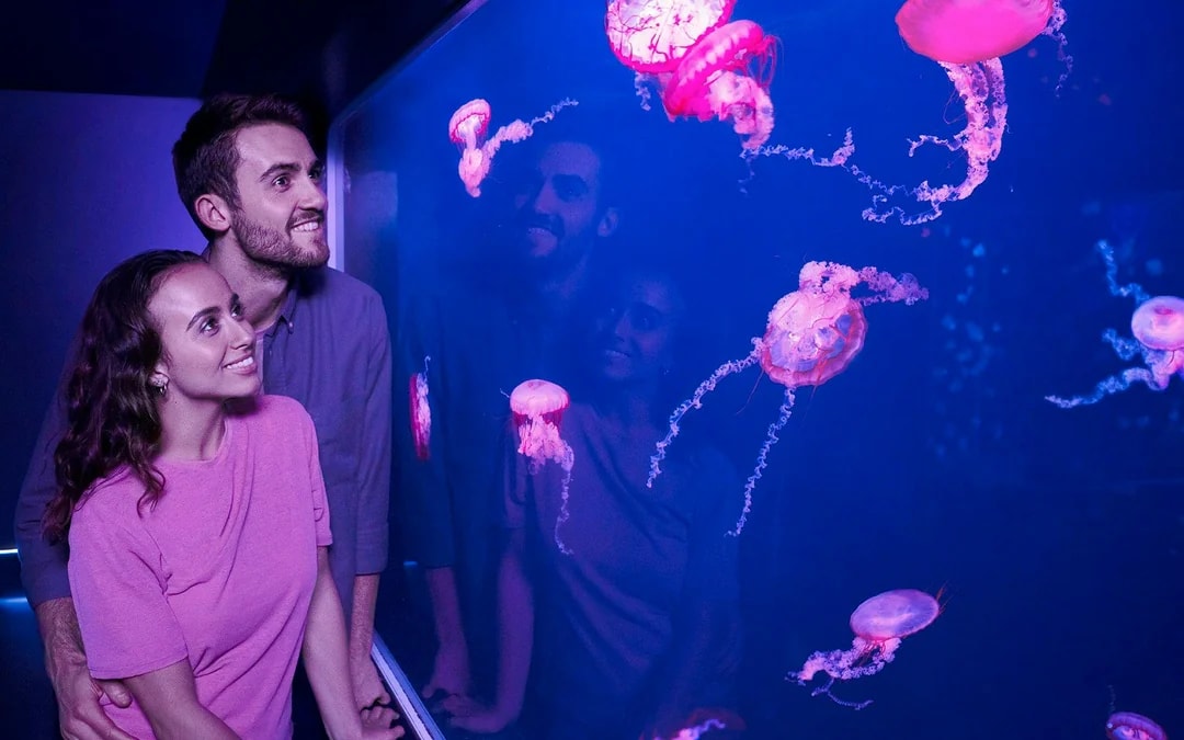 Magic Pass (Save 60%): London Eye Tickets + 4 Top Experiences Image 8