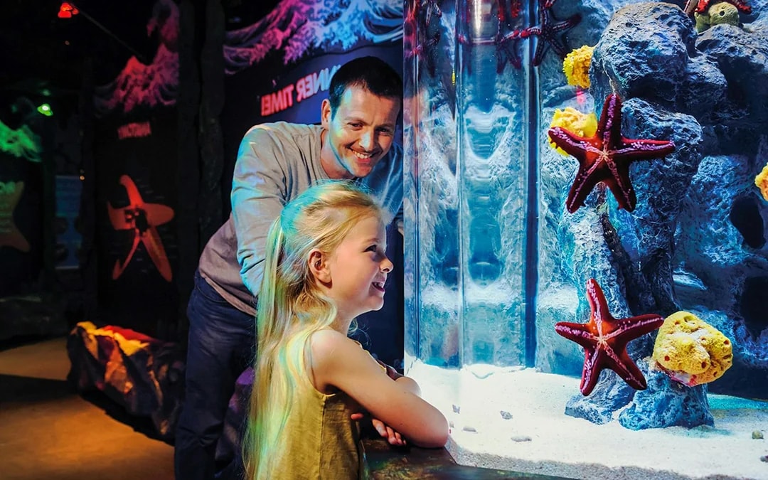 Magic Pass (Save 60%): London Eye Tickets + 4 Top Experiences Image 9