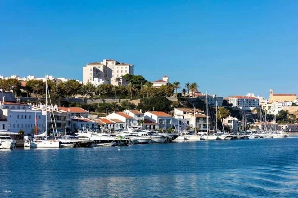 Mahon Harbour Yellow Catamarans cruise with underwater views