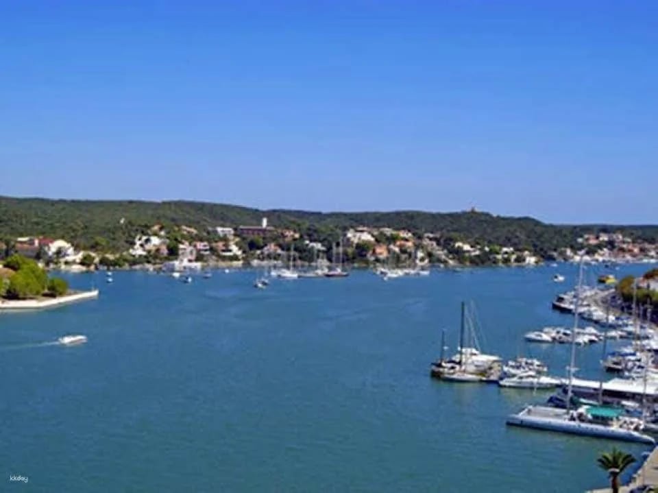 Mahon Harbour Yellow Catamarans cruise with underwater views