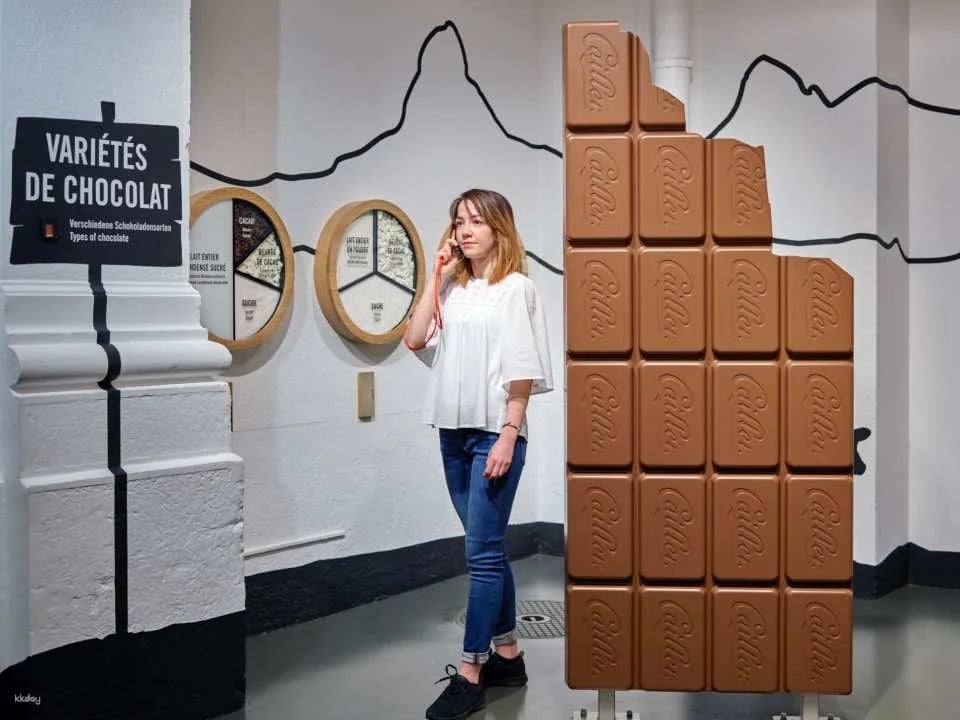 Maison Cailler Chocolate Factory Ticket