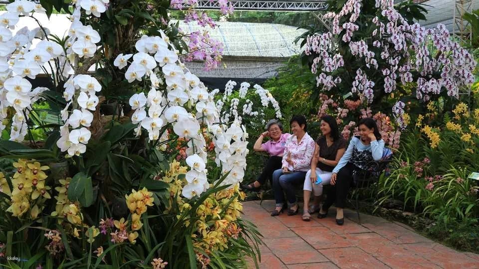 The Majestic Floral Route at Royal Park Rajapruek Chiang Mai Admission Ticket | Thailand