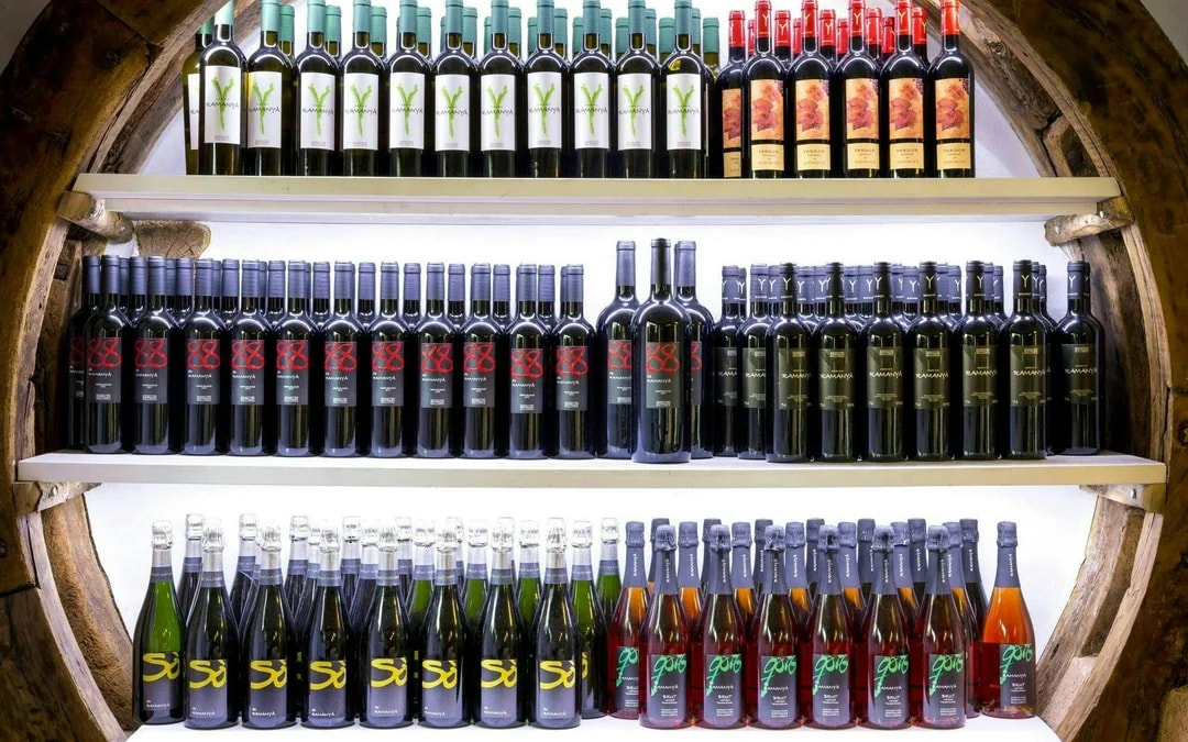 Majorca Tour with Fornalutx, Son Marroig and Wine-Tasting Image 3