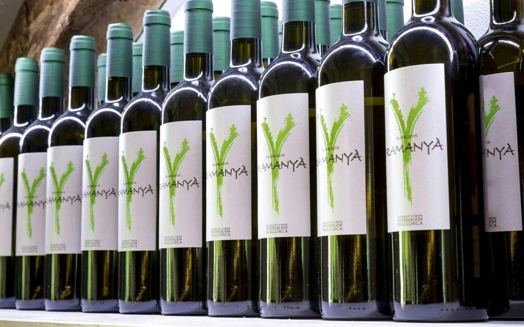 Majorca Tour with Fornalutx, Son Marroig and Wine-Tasting Image 10