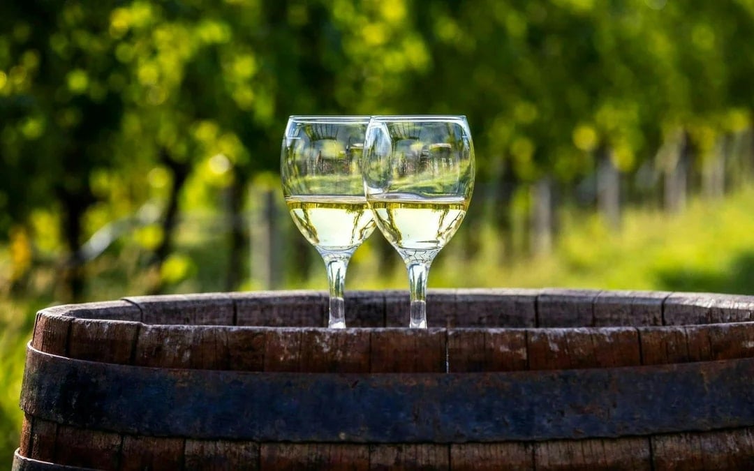 Majorca Winery Visit with Wine and Local Food Tasting Image 1
