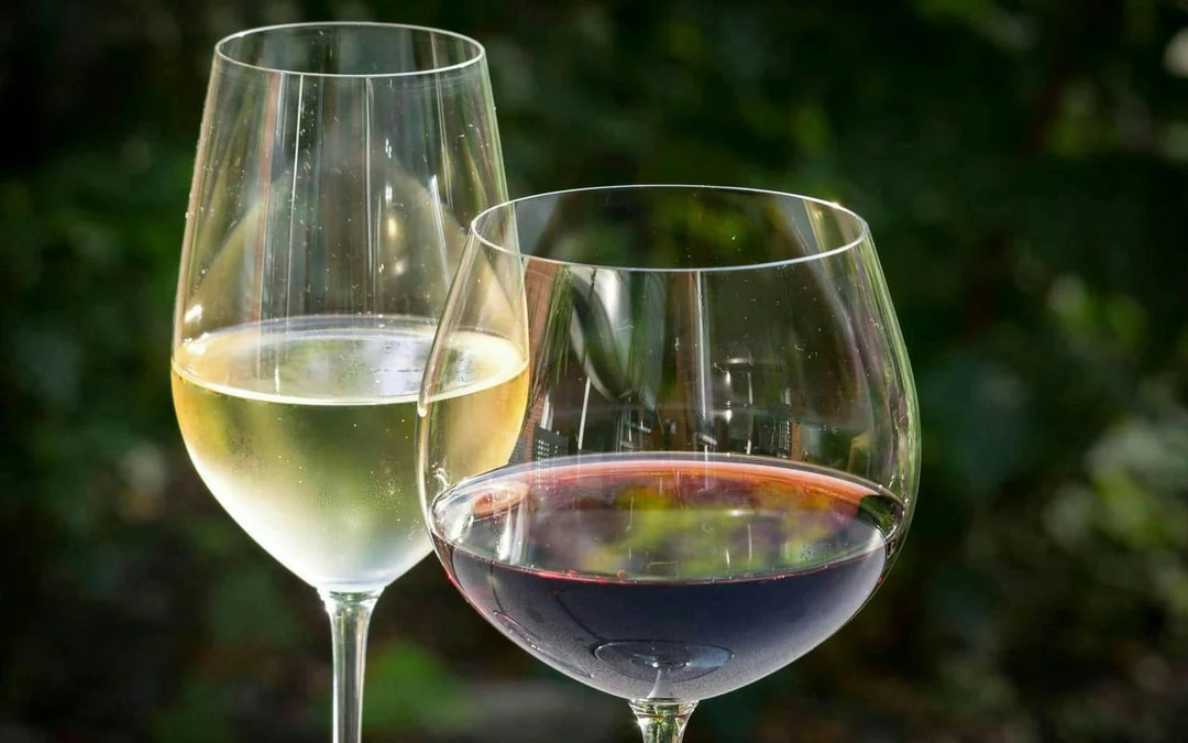 Majorca Winery Visit with Wine and Local Food Tasting Image 11