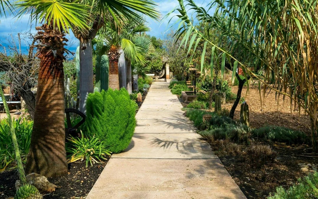 Majorca Winery Visit with Wine and Local Food Tasting Image 6