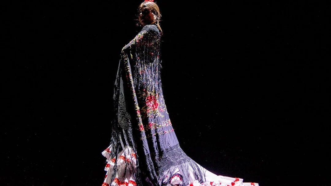 Flamenco dancer performing in traditional dress at Esencia show.