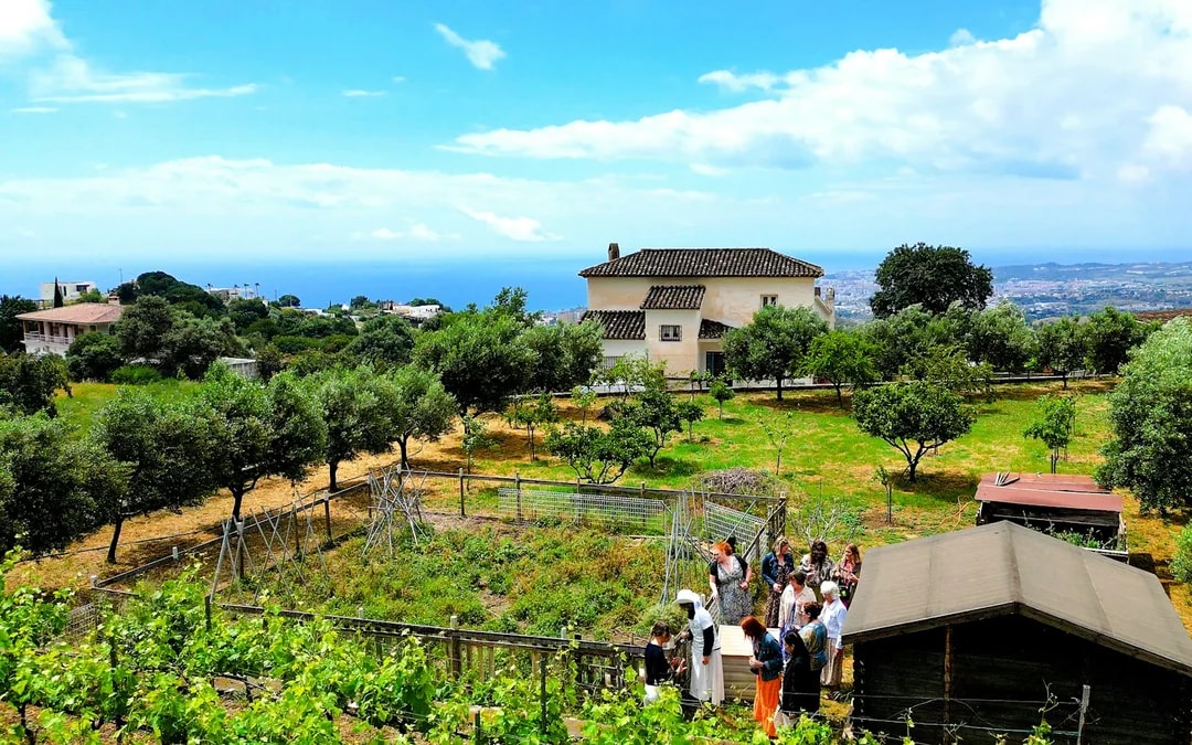 Málaga Wine Tour with Vineyard & Cellar Visits, Wine Tastings and Tapas Image 7
