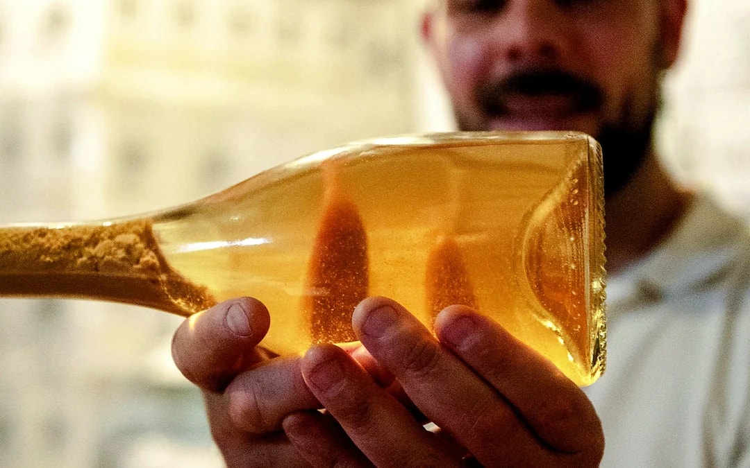 Málaga Wine Tour with Vineyard & Cellar Visits, Wine Tastings and Tapas Image 9
