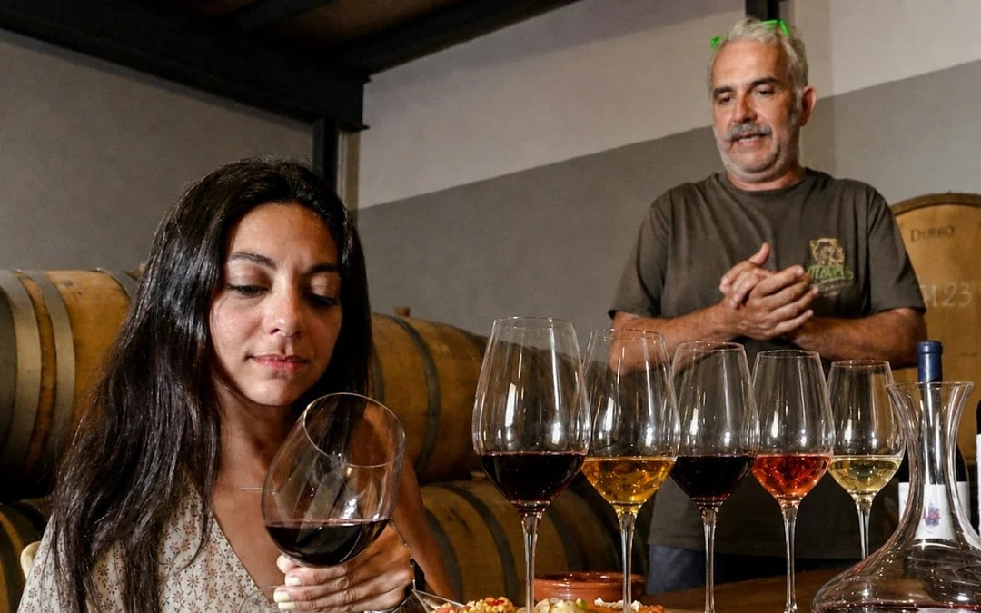 Málaga Wine Tour with Vineyard & Cellar Visits, Wine Tastings and Tapas