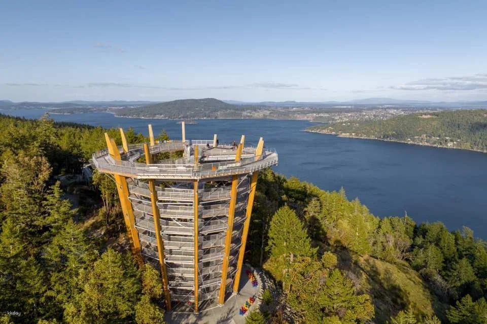 Vancouver Island: Malahat SkyWalk Ticket - Victoria