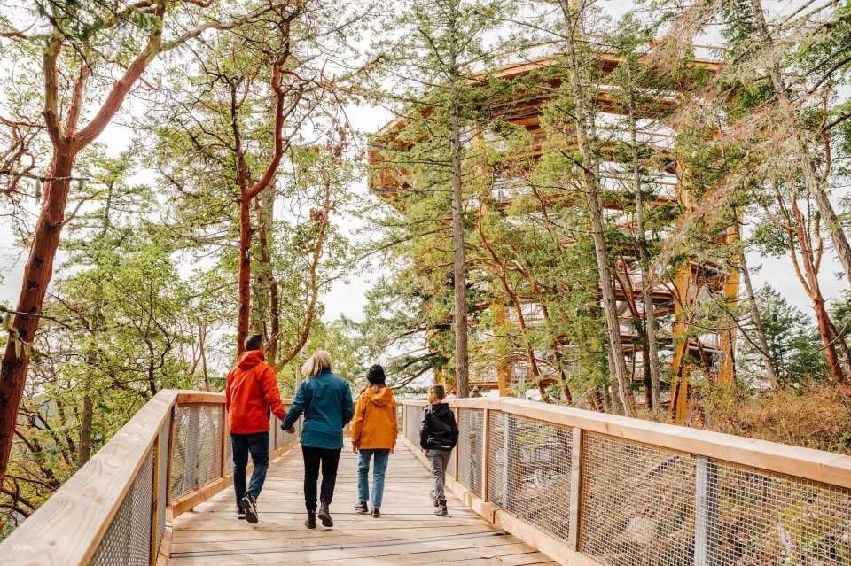 Vancouver Island: Malahat SkyWalk Ticket | Victoria