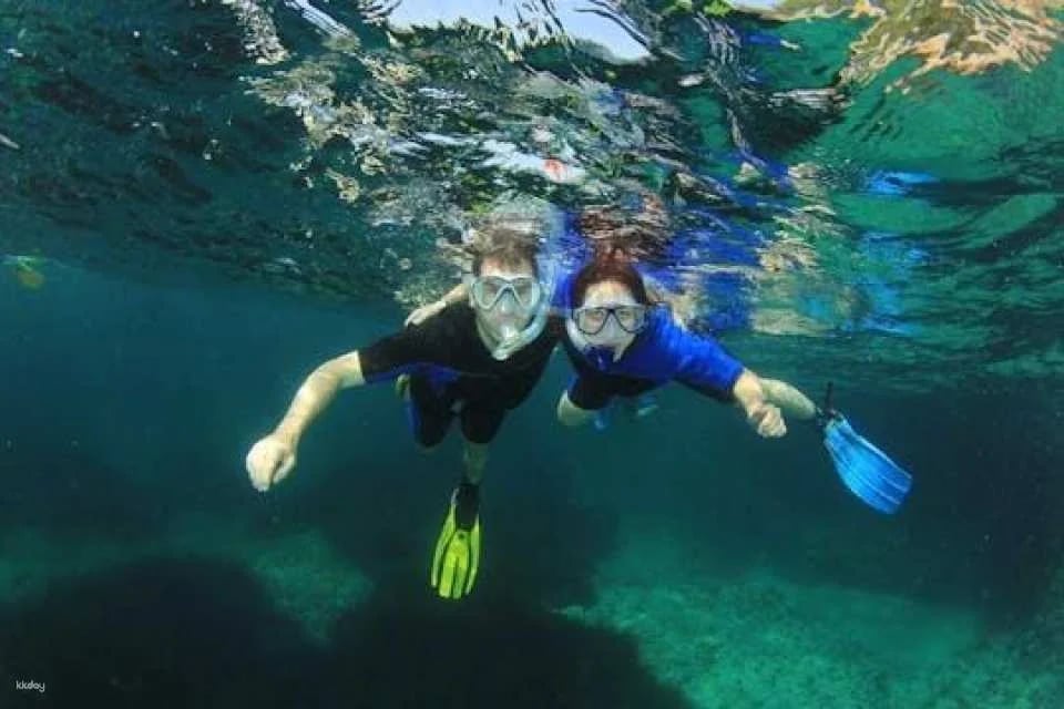 Mallorca dip and dive snorkelling and diving experience