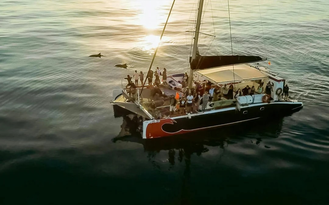 Mallorca Sunrise and Dolphin Watching Catamaran Image 2