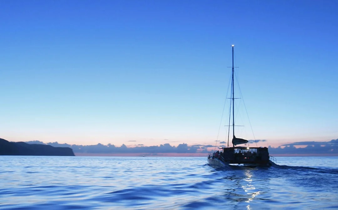 Mallorca Sunrise and Dolphin Watching Catamaran Image 5