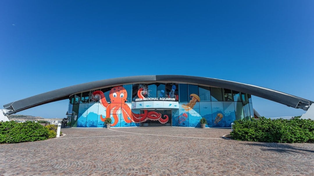 Malta National Aquarium Tickets, St Pauls Bay