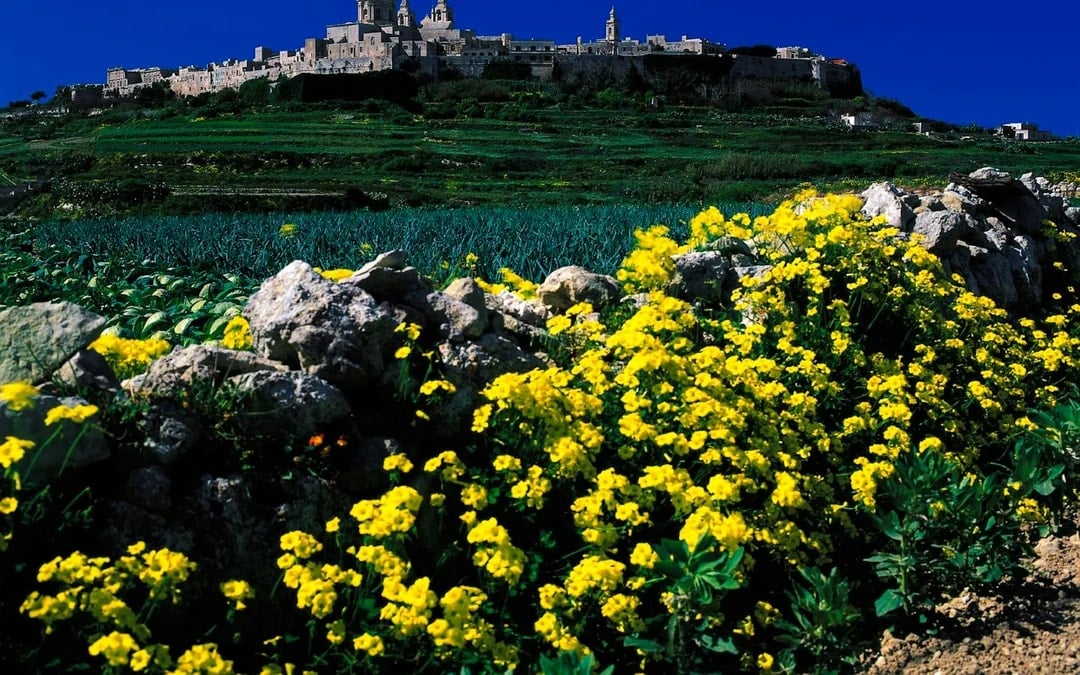 Malta Private Tour with Licensed Guide and Transport