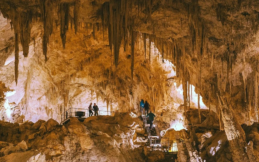Margaret River: Mammoth Cave Self-Guided Audio Tour Image 5
