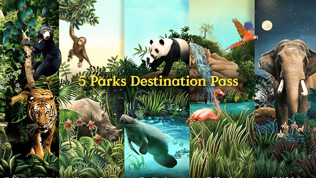 Collage of animals from Rainforest Wild Asia, Singapore Zoo, River Wonders, Bird Paradise, and Night Safari.