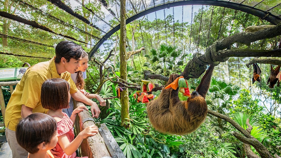 Family observing a sloth eating fruit at Singapore Zoo.