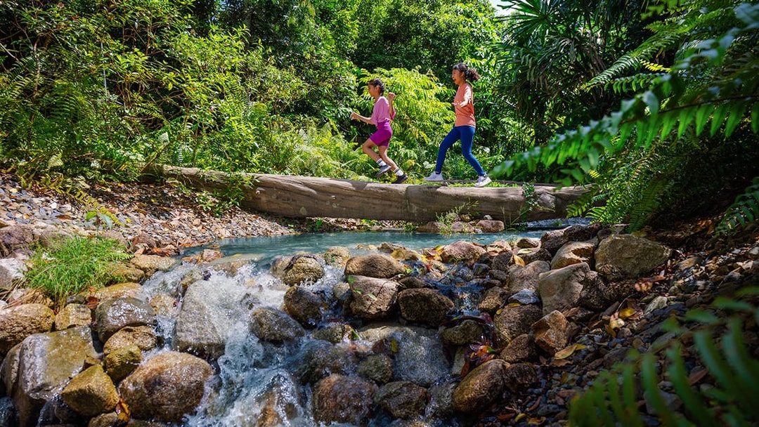 Children crossing a log over a stream in a lush forest setting.