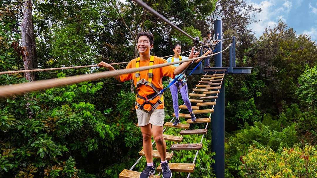 Visitors crossing a rope bridge at Wild Apex Adventure's Langur Observation Deck.