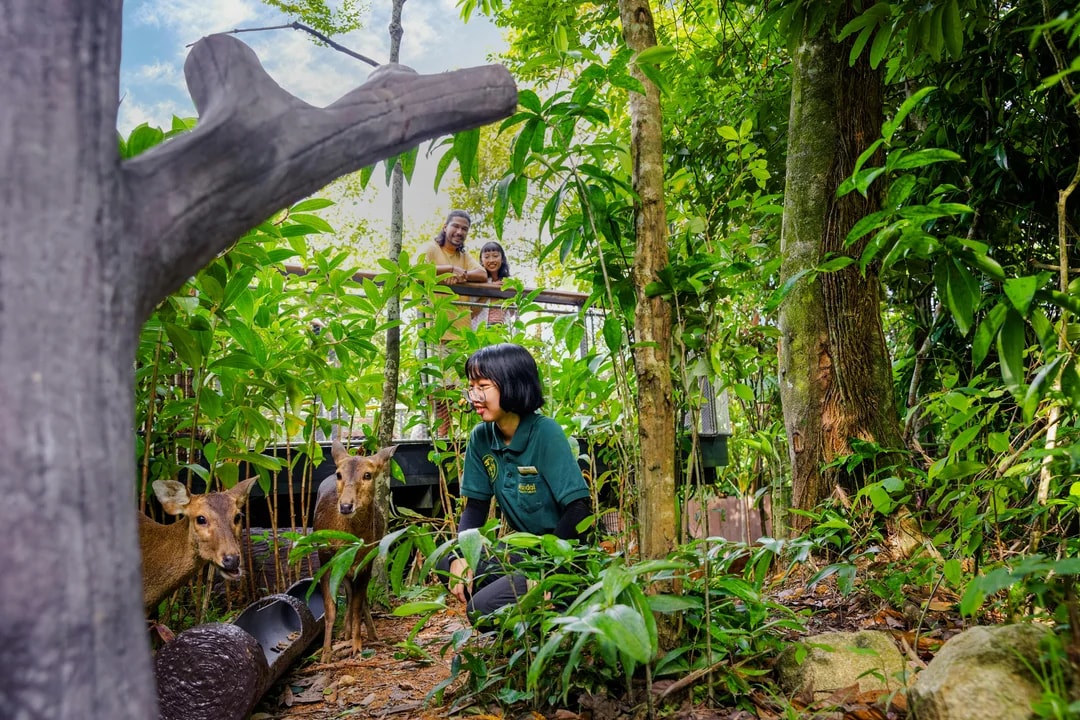 Mandai Wildlife Destination Pass Image 9