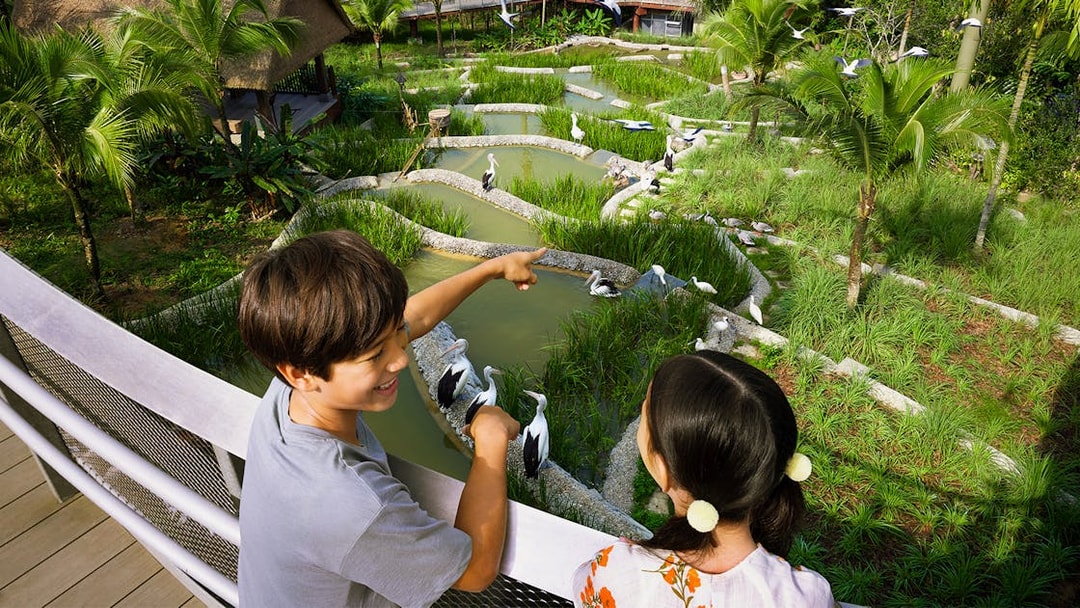 Children observing birds in a lush wetland habitat at Bird Paradise.