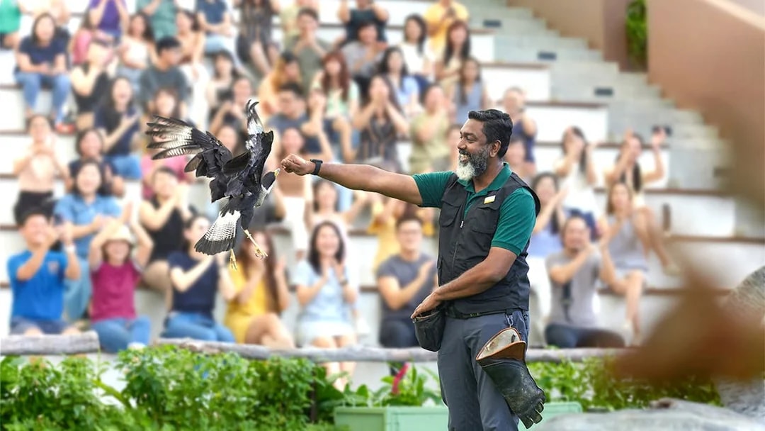 Trainer presenting eagle to audience at Bird Paradise show.