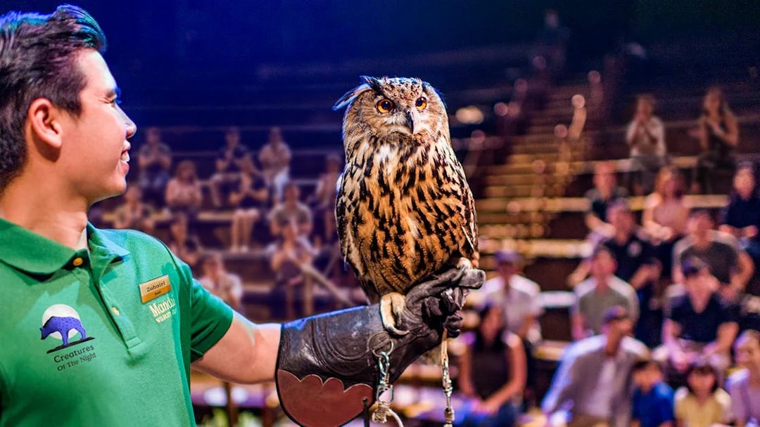 Handler presenting an owl during the night show at Singapore Night Safari.