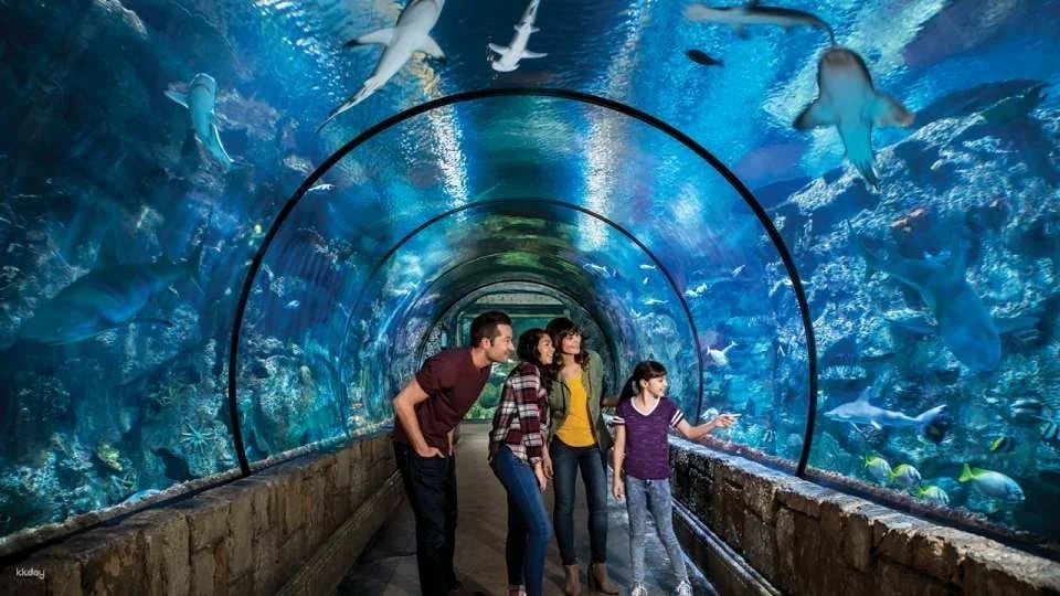 Mandalay Bay Shark Reef Aquarium Admission Ticket - Las Vegas