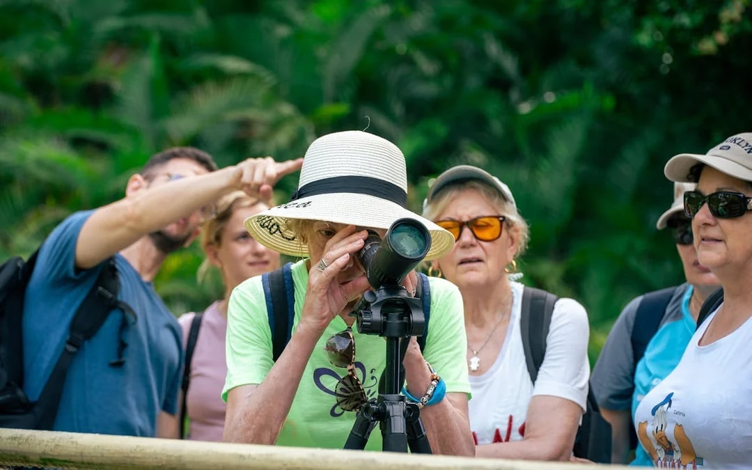 Manuel Antonio National Park Guided Tour with Wildlife Viewing and Beach Access from Manuel Antonio Image 5