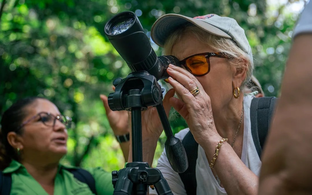 Manuel Antonio National Park Guided Tour with Wildlife Viewing and Beach Access from Manuel Antonio Image 9