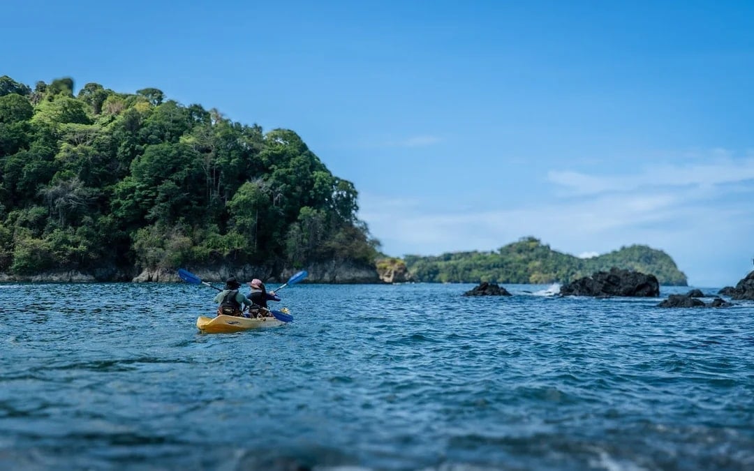 Manuel Antonio Ocean Kayaking and Snorkeling Tour with Hotel Transfers, Lunch or Dinner, and Bilingual Guide Image 1