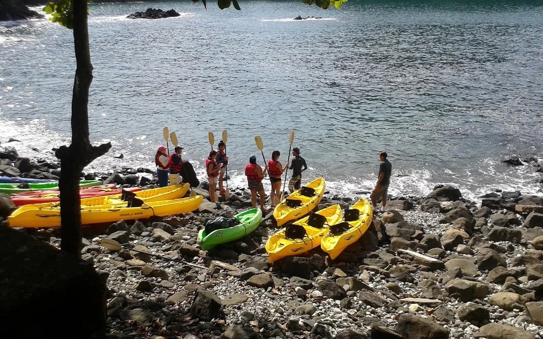 Manuel Antonio Ocean Kayaking and Snorkeling Tour with Hotel Transfers, Lunch or Dinner, and Bilingual Guide Image 5