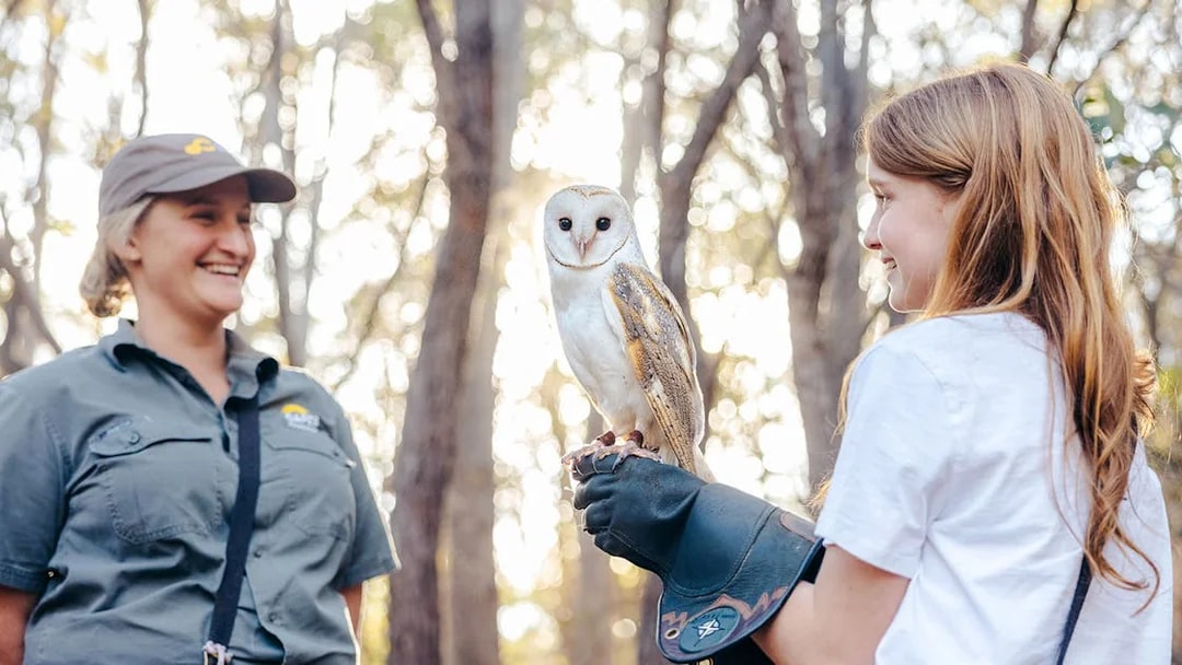 Young girl holding an owl with a guide at Capes Raptor Centre.