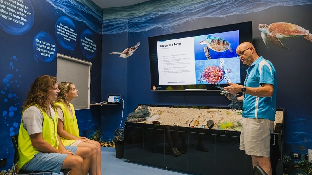 Interactive marine life presentation at Cairns Aquarium with focus on green sea turtles.