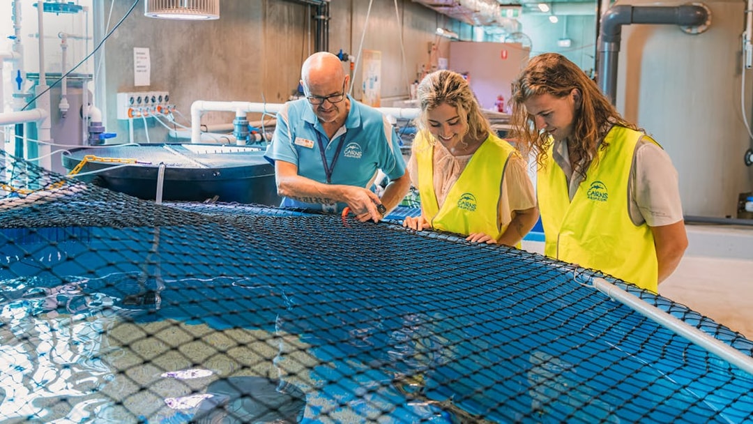 Guided tour group observing marine life at Cairns Aquarium.