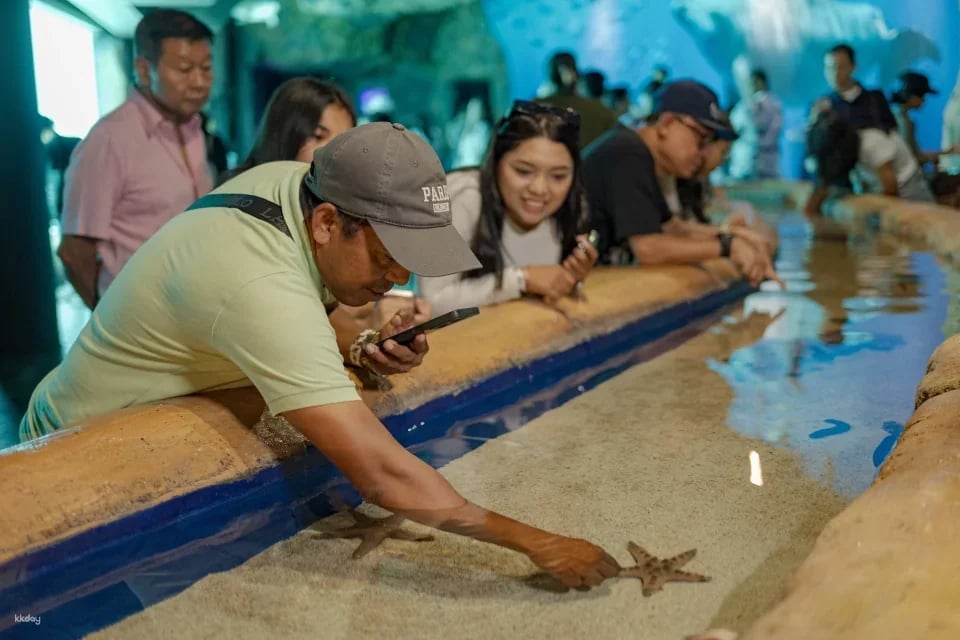 Marine Safari Bali (Oversea) in Bali | Indonesia