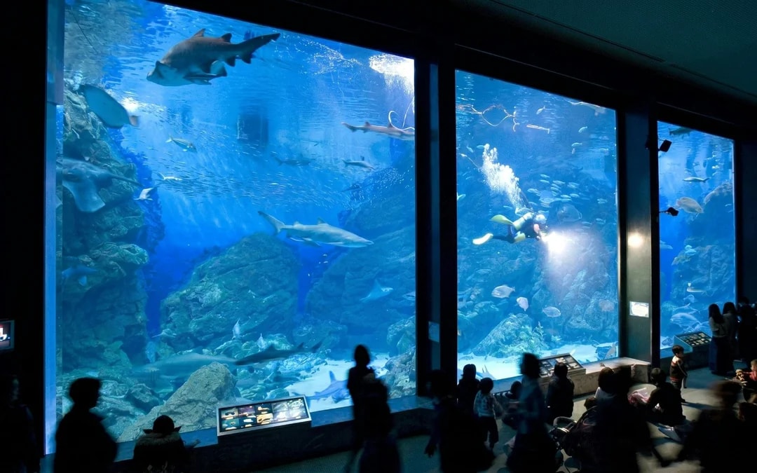 Marine World Uminonakamichi Tickets Image 5