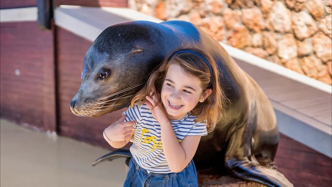 Child interacting with a seal at Marineland Mallorca entrance.