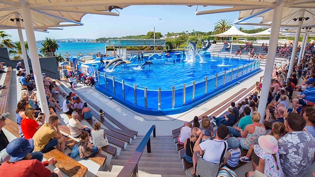Crowd watching dolphin show at Marineland Mallorca.
