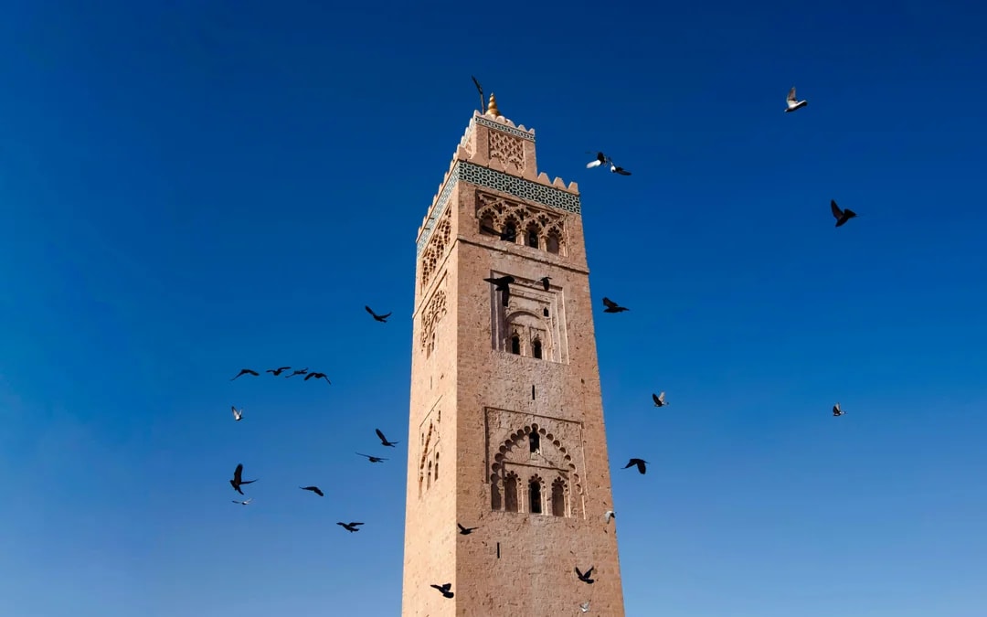 Marrakech: El Badi Palace Entry Ticket with Souvenir Postcard Image 5