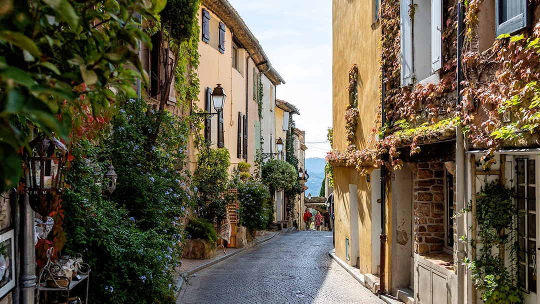 Narrow cobblestone street in Bandol, France, lined with ivy-covered buildings.