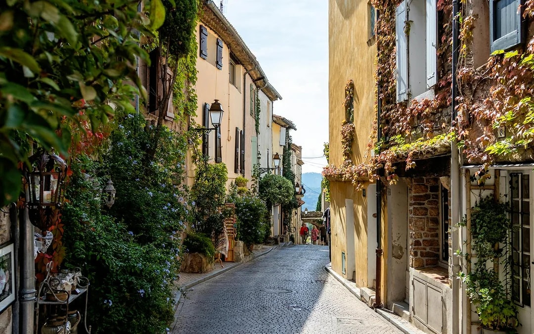 From Marseille: Full-Day Wine Tasting Tour of Bandol & Cassis Image 4