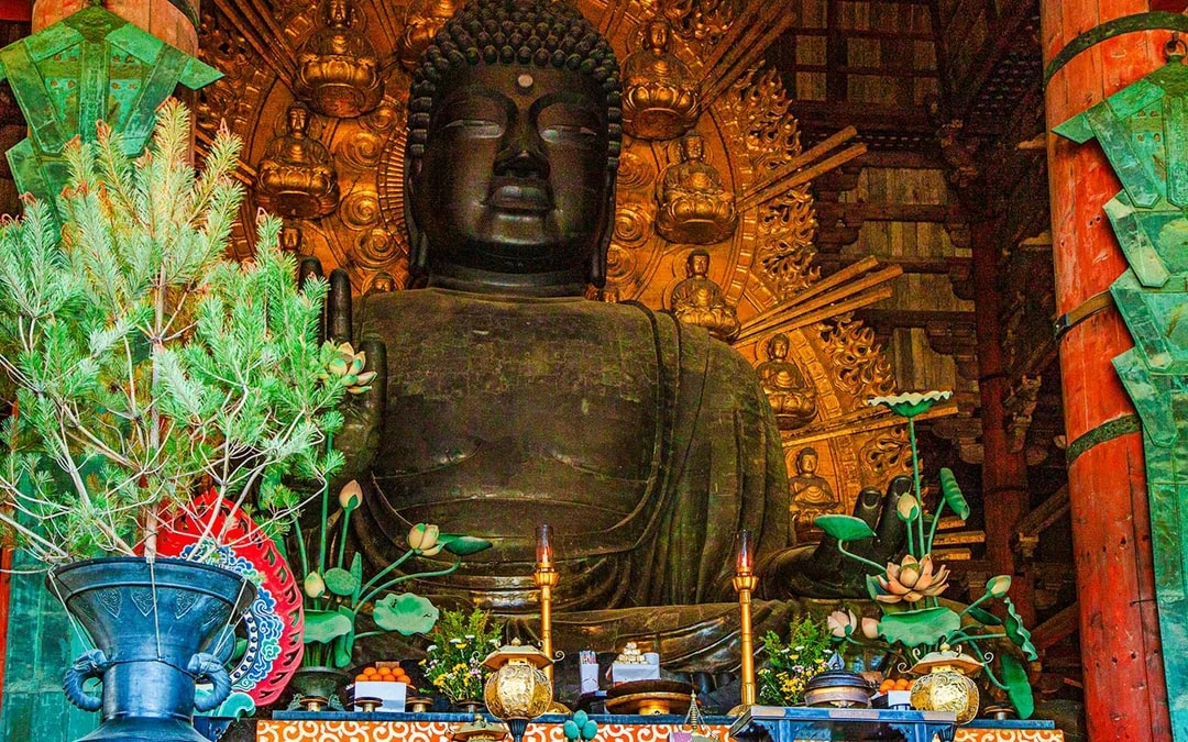 Matcha Tour: Nara Park, Uji, and Hot Spring from Osaka Image 6