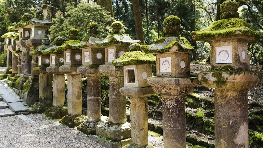 Moss-covered stone lanterns along a path at Kasuga Taisha, Nara, Japan.