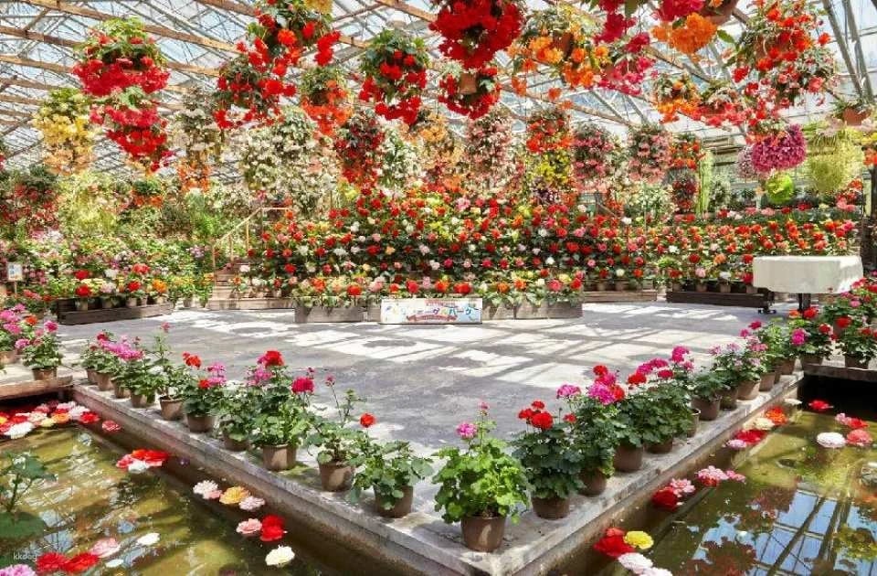 Matsue Flower and Bird Garden Tickets (Shimane, Japan)