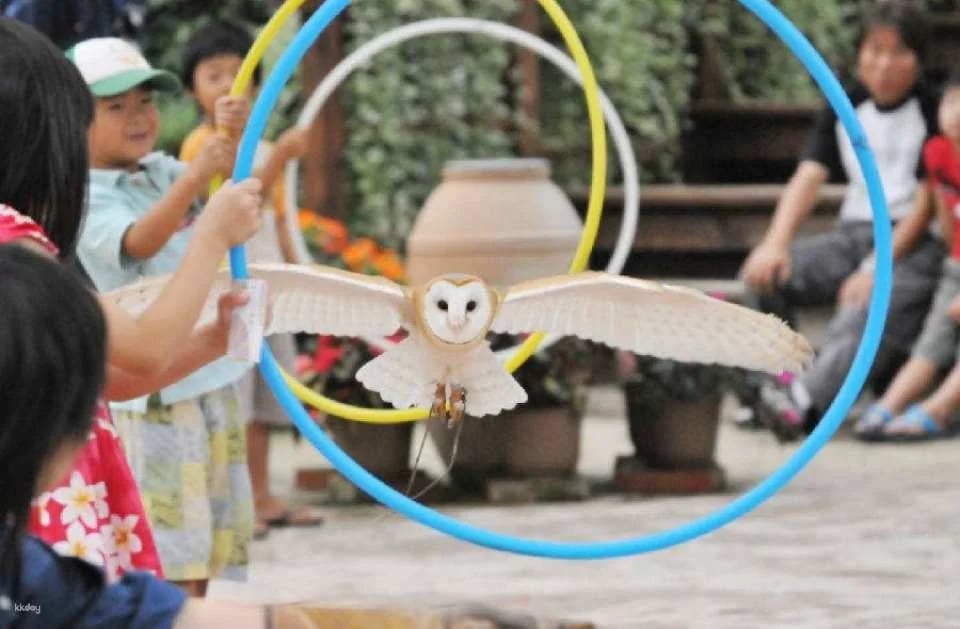 Matsue Flower and Bird Garden Tickets (Shimane, Japan)